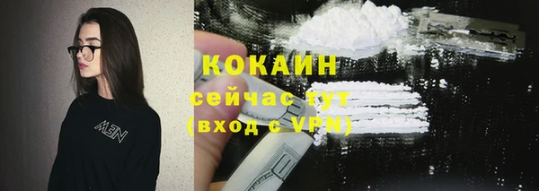 кокс Вяземский