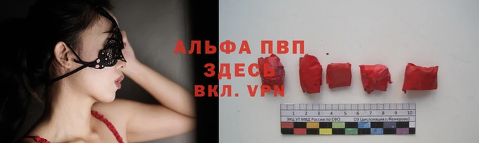 ПСИЛОЦИБИНОВЫЕ ГРИБЫ Волосово
