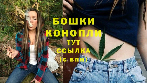 синтетический гашиш Медвежьегорск