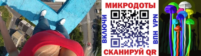 магазин  наркотиков  Гдов  Галлюциногенные грибы прущие грибы 